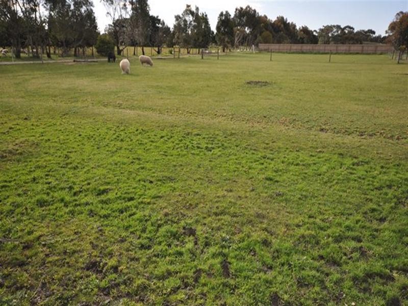 109 Burnside Road, Bannockburn VIC 3331