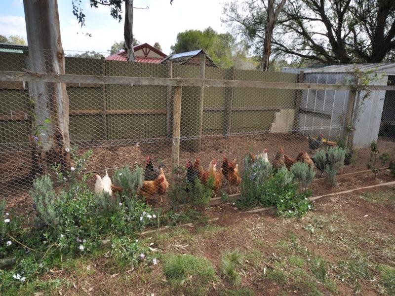 7 Pilloud Street, Bannockburn VIC 3331