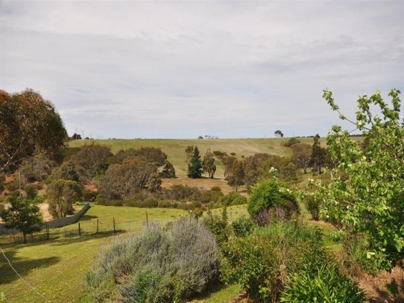 25 Ormond Street, Bannockburn VIC 3331