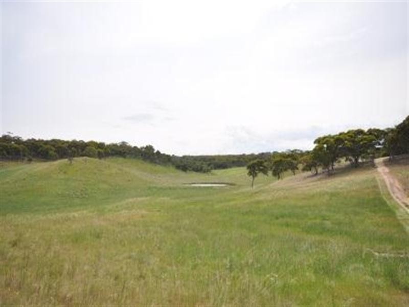 316 Lynch Road, Maude VIC 3331