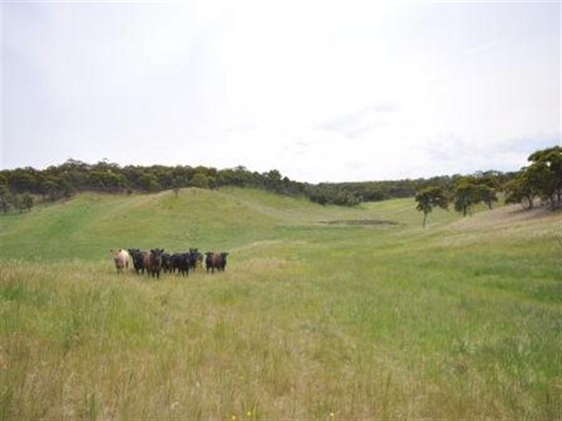 316 Lynch Road, Maude VIC 3331