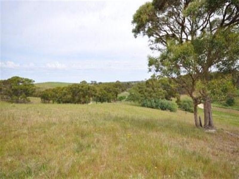 316 Lynch Road, Maude VIC 3331