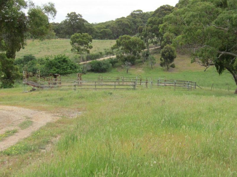 316 Lynch Road, Maude VIC 3331