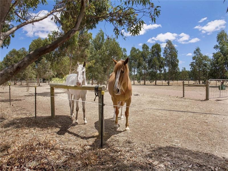 6 Kestrel Place, Teesdale VIC 3328