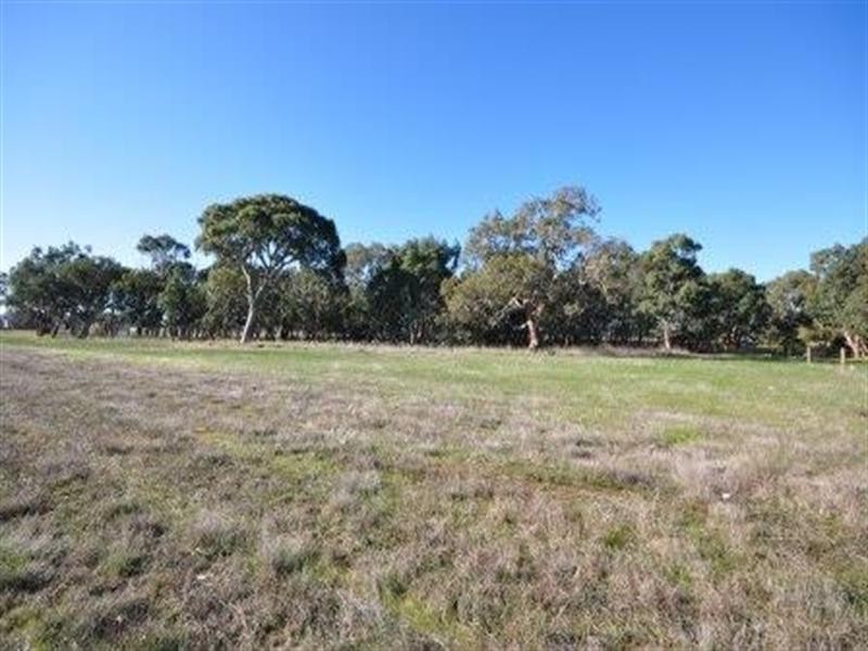 55 Lomandra Drive, Teesdale VIC 3328