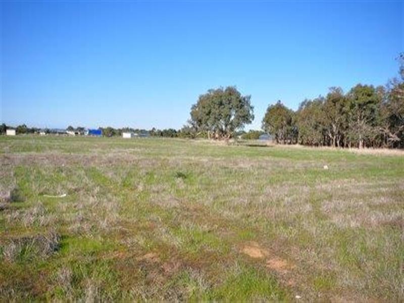 55 Lomandra Drive, Teesdale VIC 3328