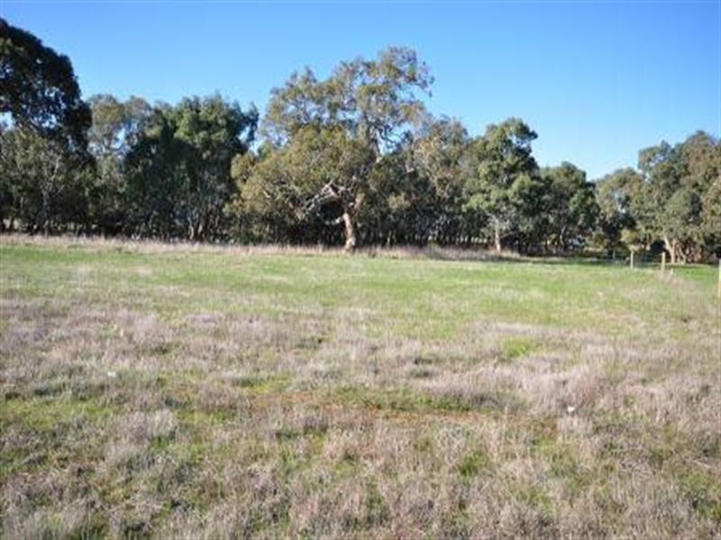 55 Lomandra Drive, Teesdale VIC 3328