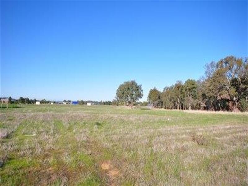 55 Lomandra Drive, Teesdale VIC 3328