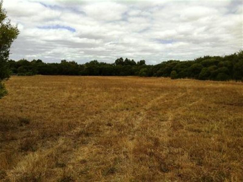 Lot 9 Tulla Drive, Teesdale VIC 3328