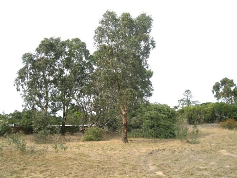 Lot 7 Section 12 Mercer Street, Inverleigh VIC 3321