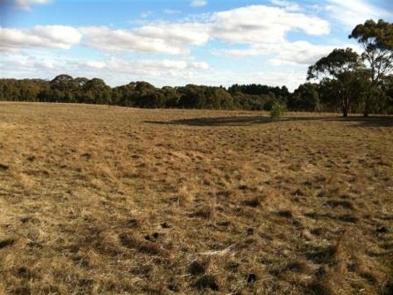 120 Pioneer Ridge Road, Meredith VIC 3333