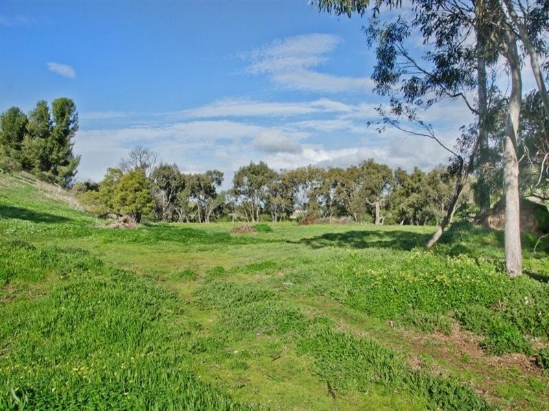 451 Russells Bridge Road, Bannockburn VIC 3331