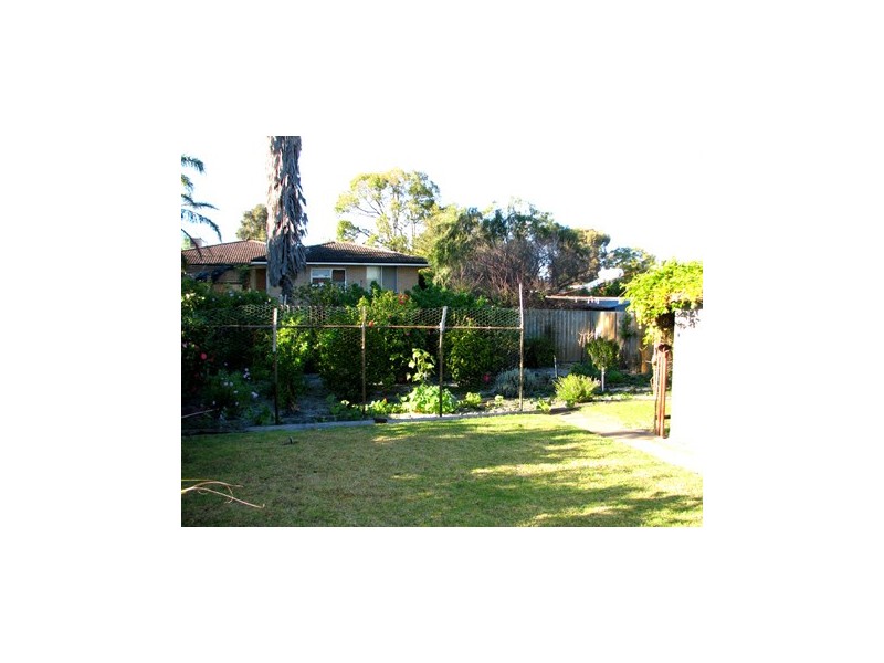 38 Collingwood Street, Dianella WA 6059