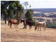 65 Nannup Road, Balingup WA 6253