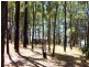 65 Nannup Road, Balingup WA 6253