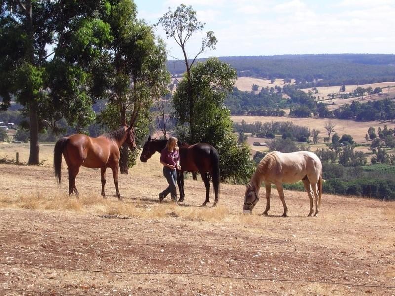 65 Nannup Road, Balingup WA 6253