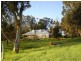 65 Nannup Road, Balingup WA 6253