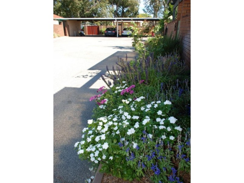 2/41 Waverley Street, Dianella WA 6059