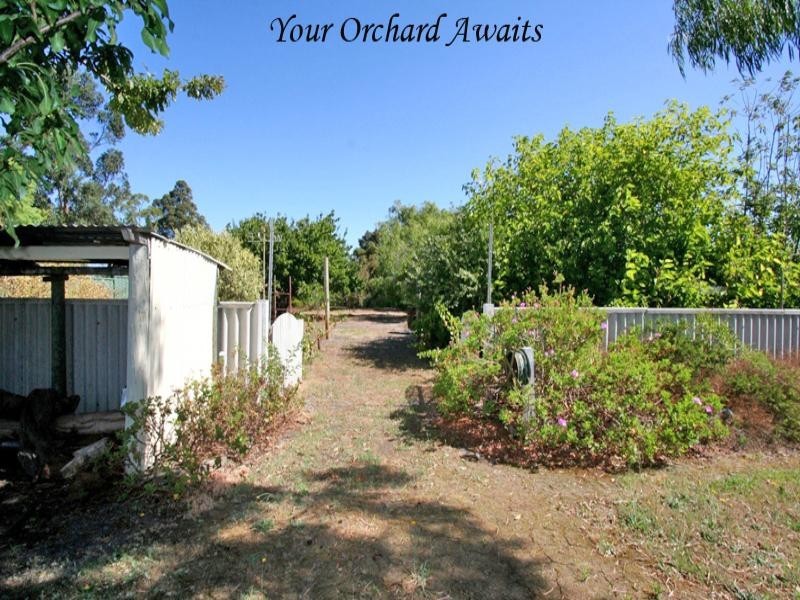 26 Maxwell Street, Manjimup WA 6258