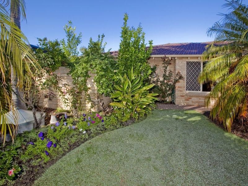 53 Avocado Drive, Dianella WA 6059