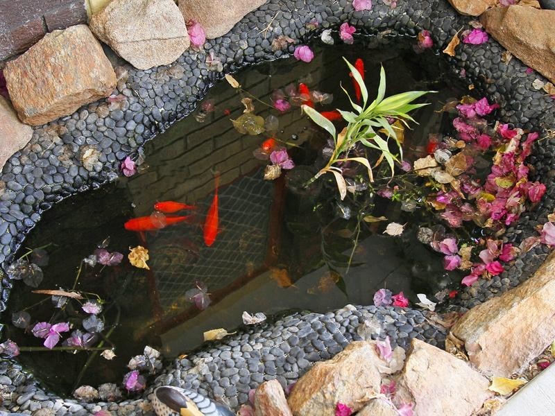 6 Sanderson Street, Embleton WA 6062