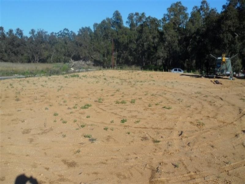 54 Balgarup Drive, Gosnells WA 6110