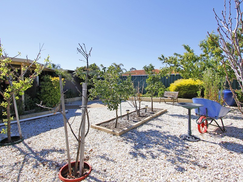 10 Macaw Gardens, Ballajura WA 6066