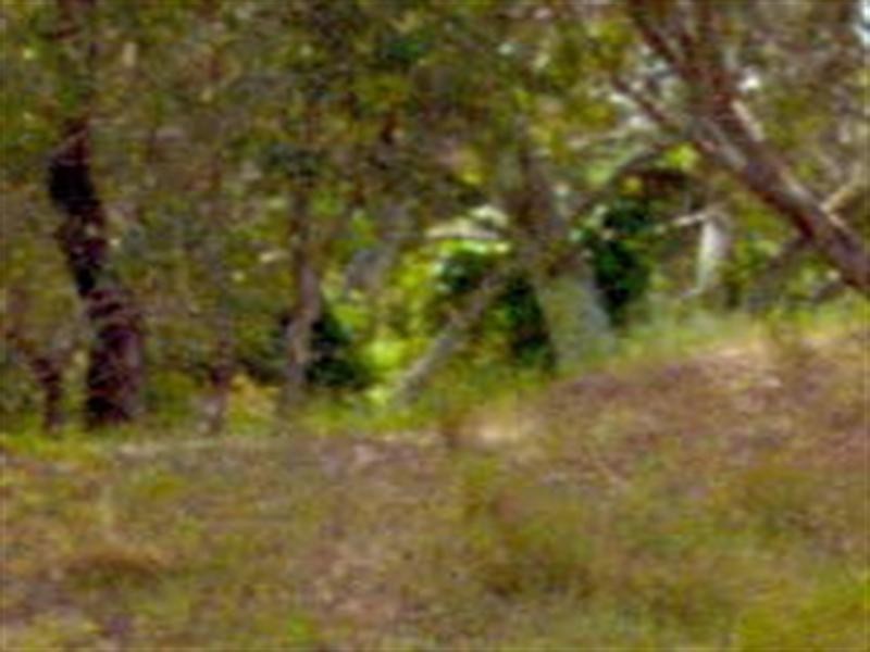 5/1 Anzac Terrace, Bassendean WA 6054