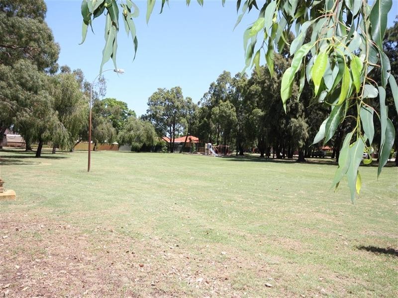 102 Virgil Avenue, Yokine WA 6060