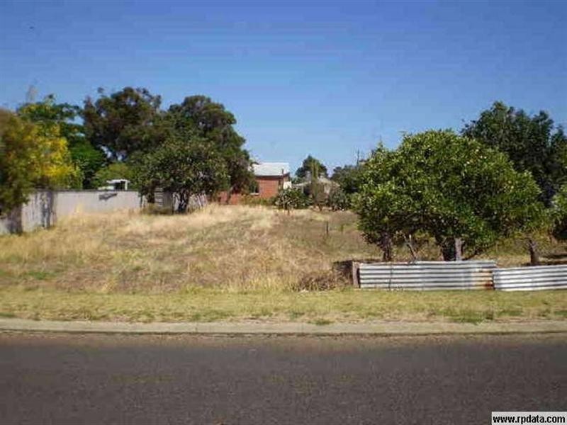 10 Palmer Street, Harvey WA 6220