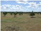 Alaire Drive Leichardt Highway, Theodore QLD 4719