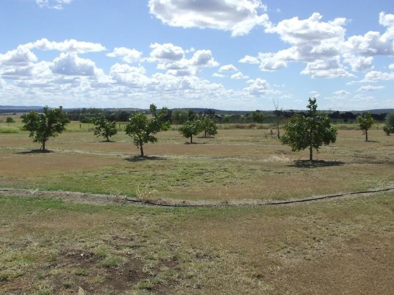 Alaire Drive Leichardt Highway, Theodore QLD 4719