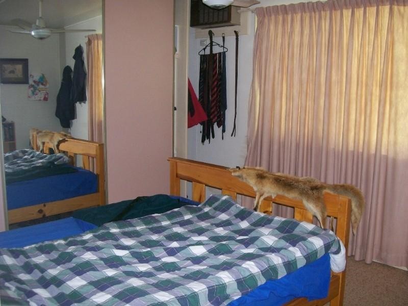 686 River Road, Moura QLD 4718