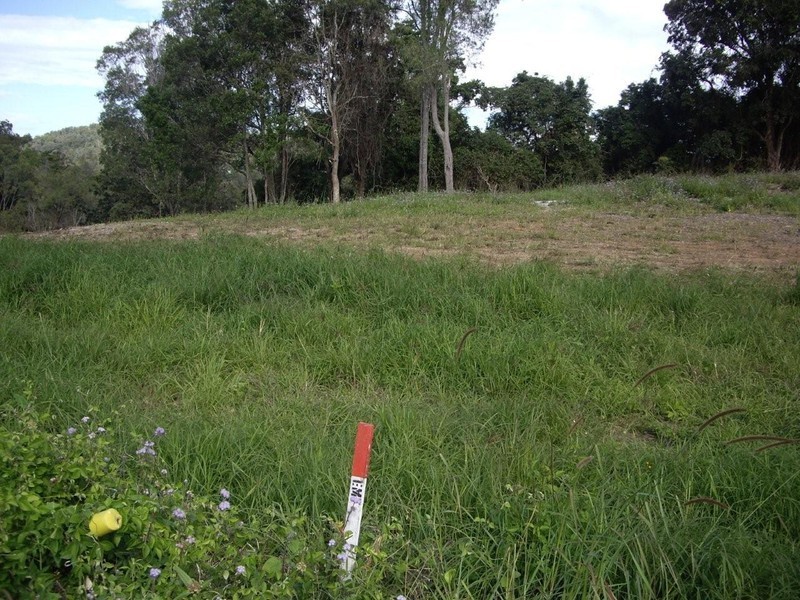 81 Wyangan Valley Way, Mudgeeraba QLD 4213