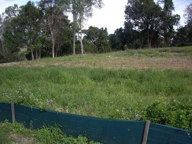 81 Wyangan Valley Way, Mudgeeraba QLD 4213