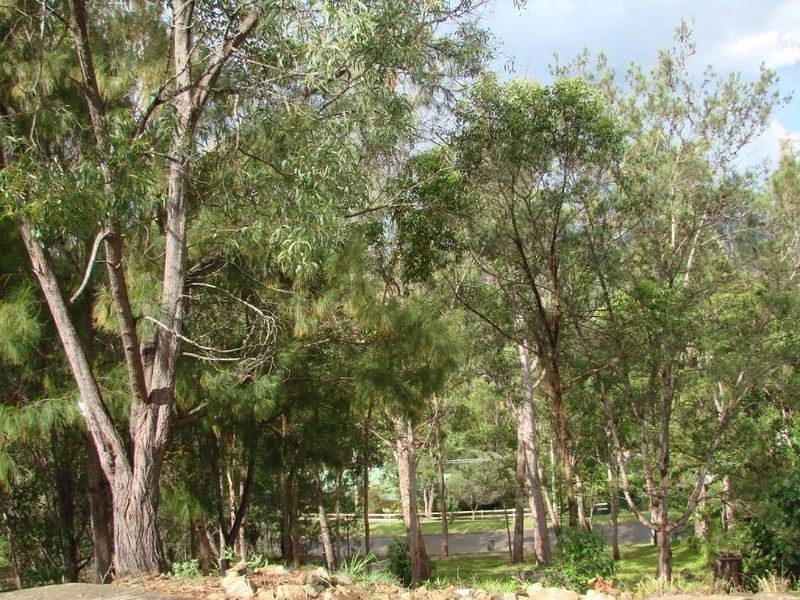 10 Stirling Court, Bonogin QLD 4213