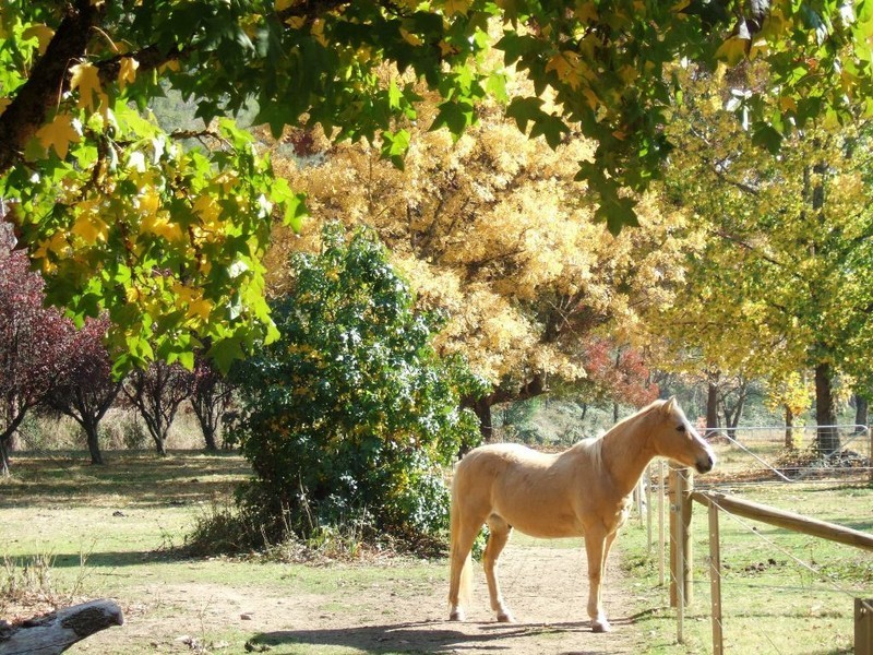 20 Hughes Lane, Eurobin VIC 3739