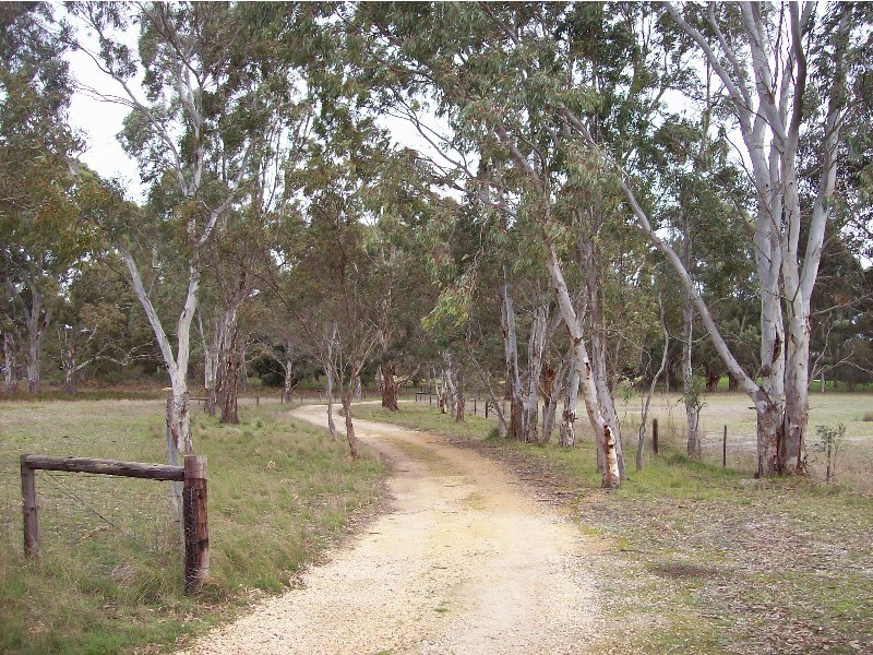 393 Stony Point Road, Naracoorte SA 5271