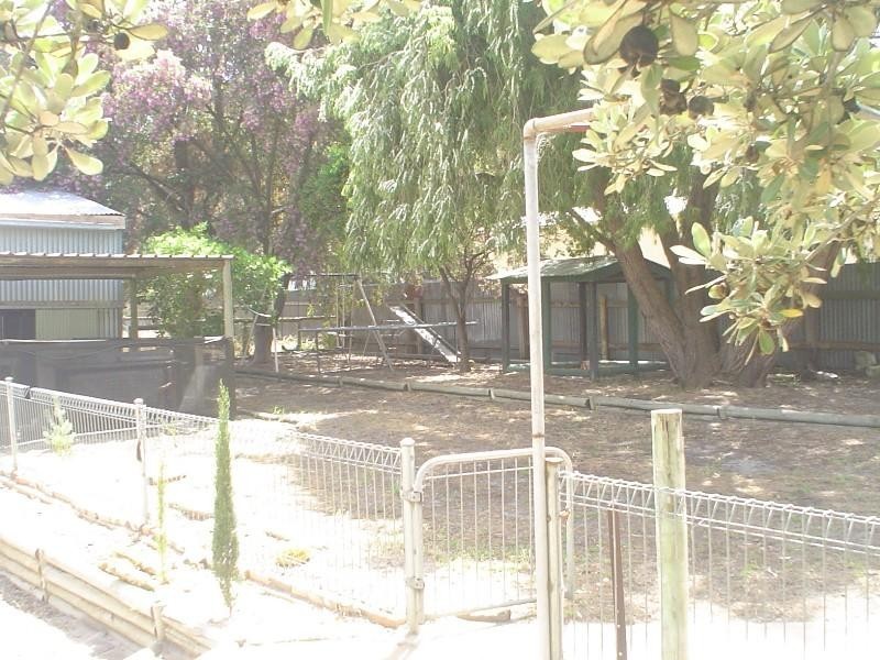 17 Aitchison Avenue, Naracoorte SA 5271