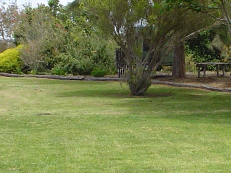7 Urrbrae Avenue, Lucindale SA 5272