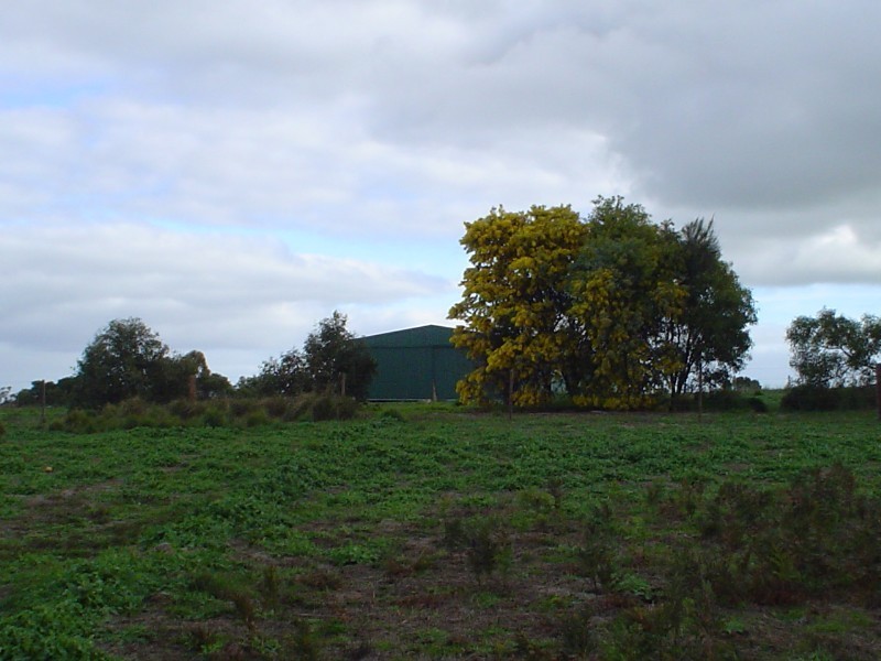 32 Jim Kelly Road, Naracoorte SA 5271