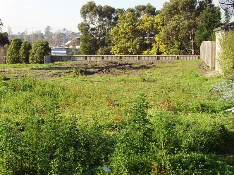 101 Springfield Drive, Narre Warren VIC 3805