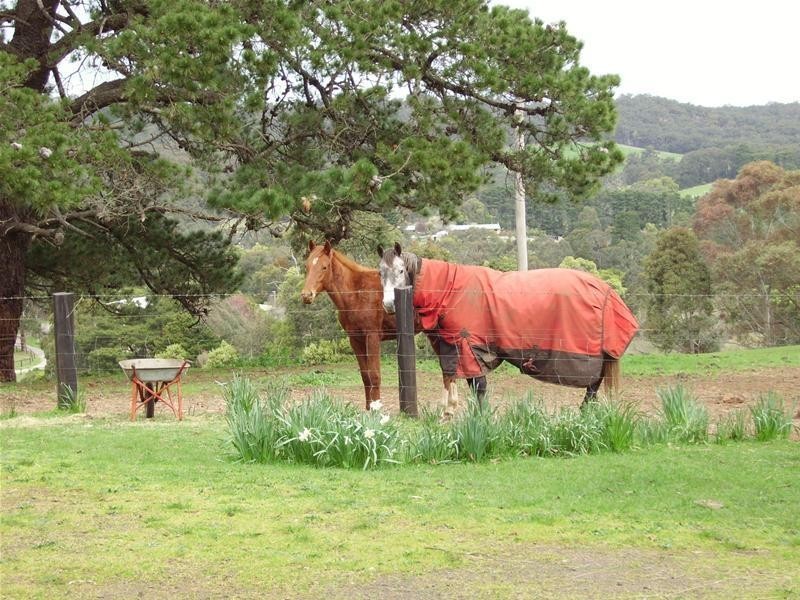 35 Bourkes Creek Road, Pakenham Upper VIC 3810