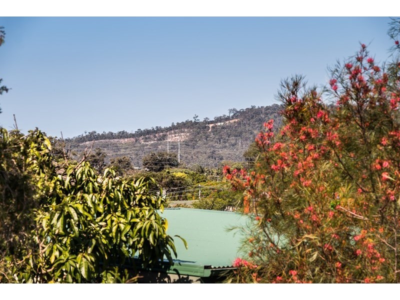 24 Kiparra Street, Mansfield QLD 4122