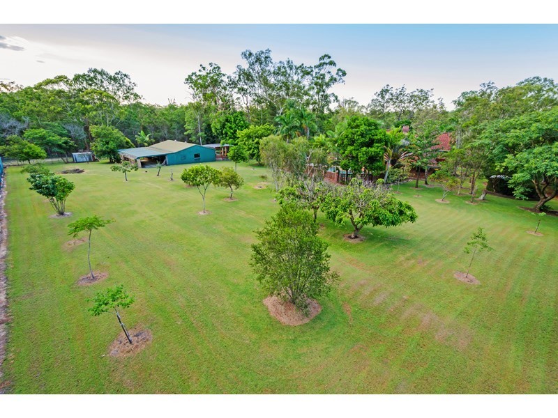 48 Allanadale Court, Forestdale QLD 4118