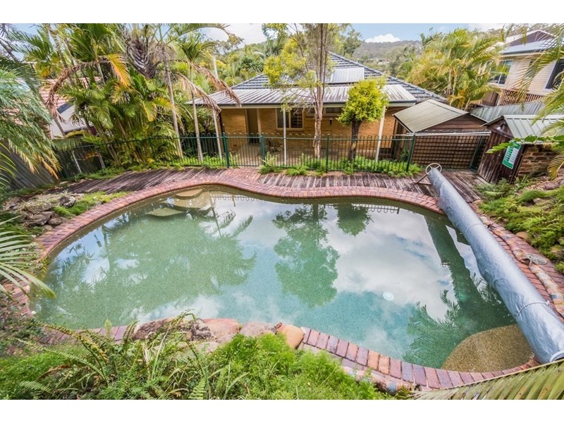 43 Dobbs Street, Holland Park West QLD 4121