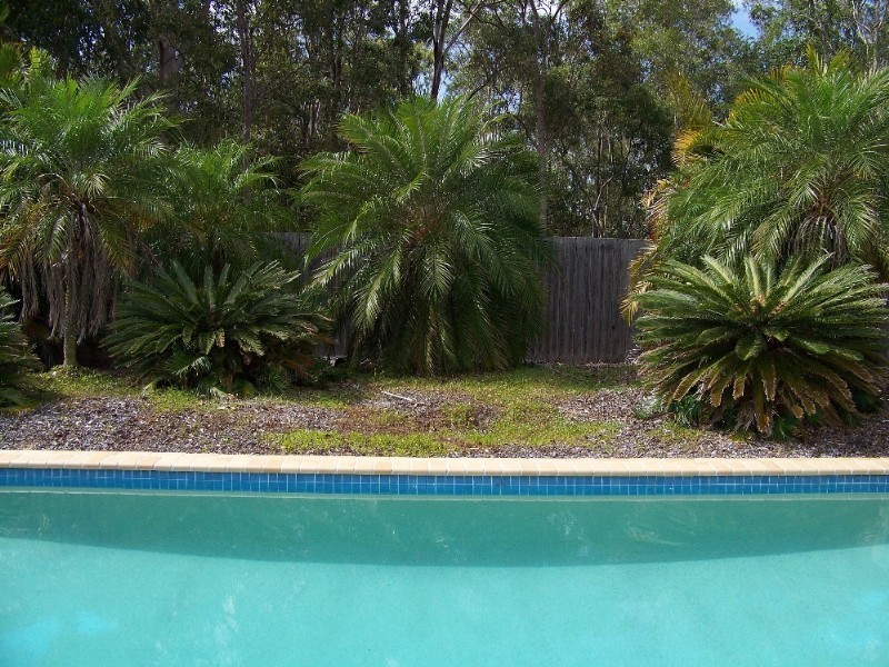 12/20 Flamingo Close, Wishart QLD 4122