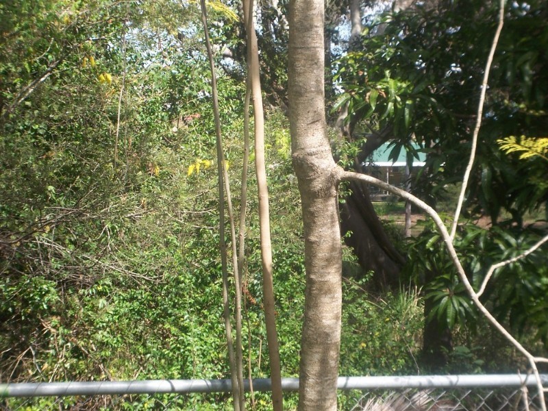 4 Sheraton Street, Macgregor QLD 4109