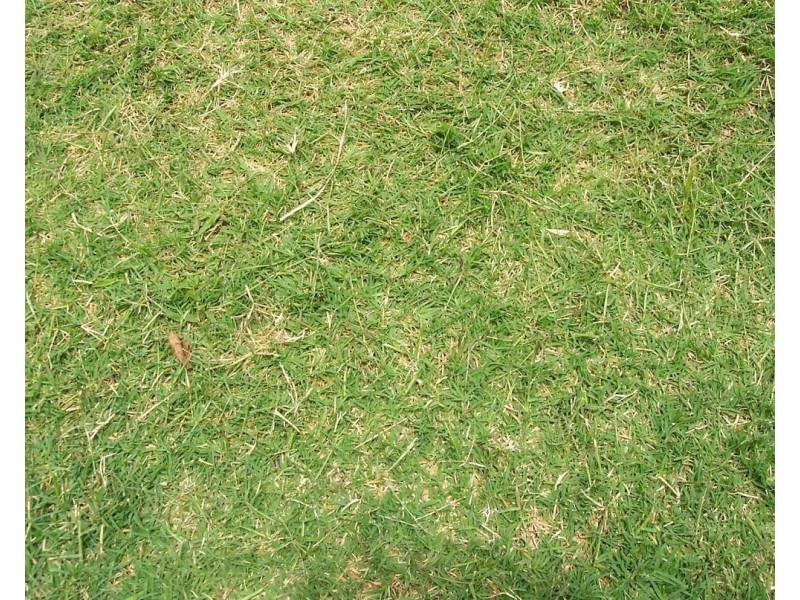 11 Leah Avenue, Salisbury QLD 4107