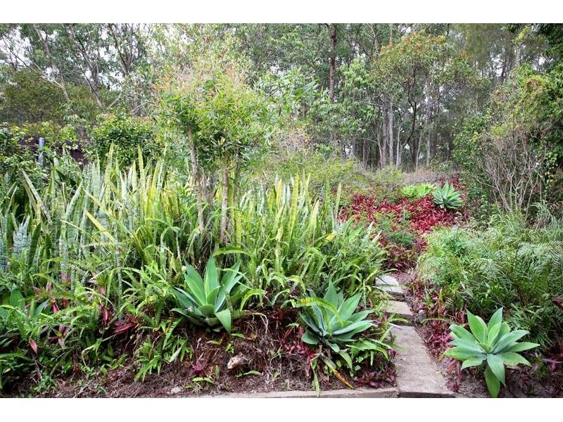 24 Verbena Street, Mount Gravatt QLD 4122